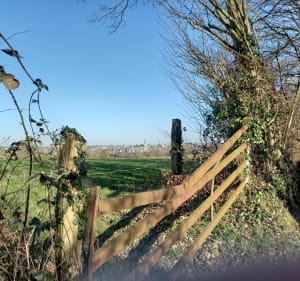 La vallée du Lozon - Marigny-Le-Lozon - 2