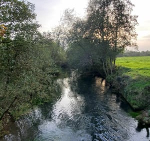 Le sentier de la Ternoise en variante période de chasse, dans la forêt d'Hesdin - Hesdin - 4