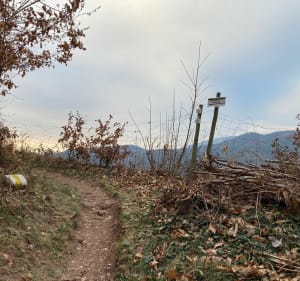 De Buhl, sur les hauteurs de l’Appenthal - Patrick - 4