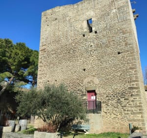 Circuit par moulin de Félines, retour par la tour Trencavel - Trausse - 2