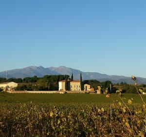 Méli-mélo sur Saint Jean Lasseille et Banyuls des Aspres - Decathlon - 4