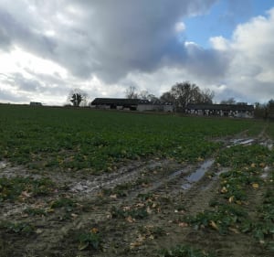 Sortie du dimanche à Onnaing - Onnaing - 2