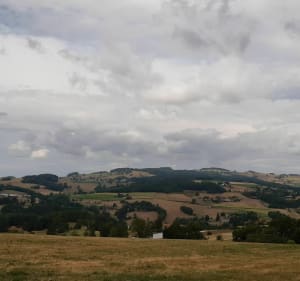 Belle balade sur Saint-Martin-en-Haut - Saint-Martin-en-Haut - 2
