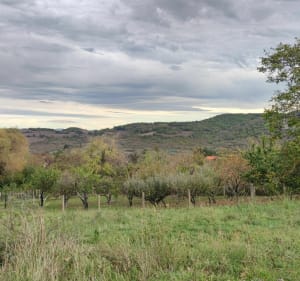 Petit tour au-dessus de Blanzat - Blanzat - 2