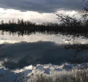 Promenade autour de La Wantzenau - Jean-claude - 4