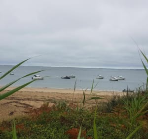 Petite balade entre terre et mer à Pénestin - Pénestin - 2