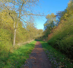 Promenade aux alentours de Béthune. - Béthune - 2