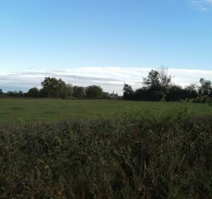 Petit tour à Aubigny - Aubigny - 2