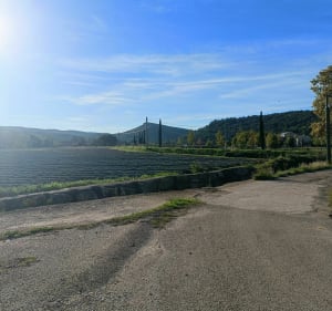 VTT Le long de la Cèze - Bagnols-sur-Cèze - 3