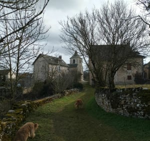 Le Puech Del Triou à Sébazac par Onet l'Eglise - Sébazac-Concourès - 2
