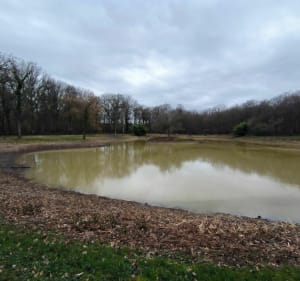 Wandeling in het Montmain-bos - Montmain - 2