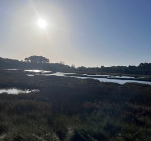 Autour de l'Anse de Kerdual - La Trinité-sur-Mer - 2