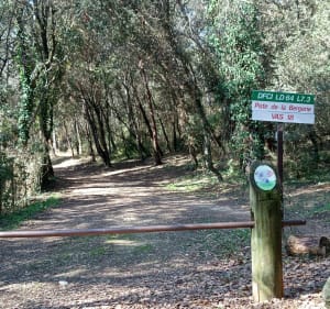 Balade de l'étang en passant par le canal de la Siagne - Mougins - 2