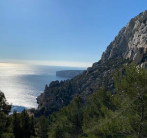 Calanques van Sugiton en Morgiou vanuit Luminy - Luminy - 2