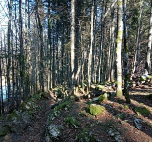 Des Rousses au Lac par le ponton pêcheur - Les Rousses - 2