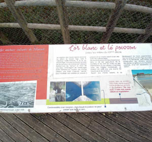 Balade autour de Talmont-Saint-Hilaire - Talmont-Saint-Hilaire - 2