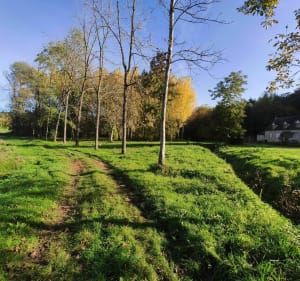 Visite des mégalithes de Bagneux. - Bagneux - 2