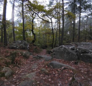 Rochers des Princes - Decathlon - 3