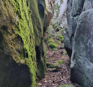 Sur les traces des carriers - Fontainebleau - 2