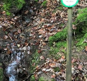 Kreutzweg - Le Hohwald - 3