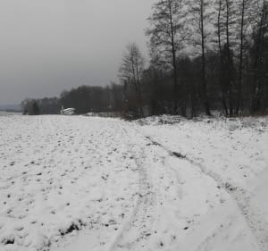 Korte wandeling door de Mazeley-vijvers - Gigney - 2
