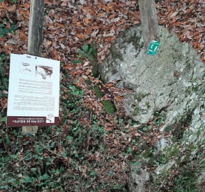 Boucle au Camp de Bierre Vaudobin - Merri - 2