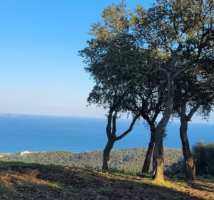 Belle randonnée au vallon de la Gaillarde - Roquebrune-sur-Argens - 3