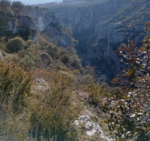 Sur les chemins d'Opedette à Vachères - Oppedette - 2