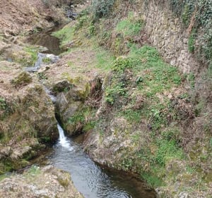 Balade dans la vallée du Torrenson - Fred - 5