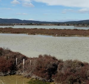 Les Salines de Villeneuve depuis Les Clauzels - Villeneuve-lès-Maguelone - 2