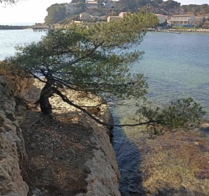 Balade au bord de mer au départ du camping Paradis à La Couronne - Martigues - 3