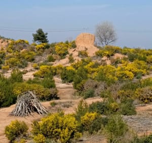De l'Infernet à La Voilerie et retour par les Barnouins - Vitrolles - 2