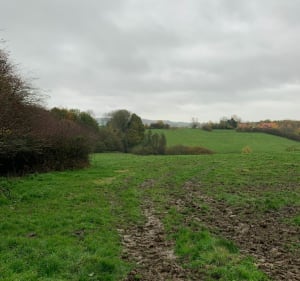 Balade dans le Mont Noir avec vues splendides - Saint-Jans-Cappel - 3