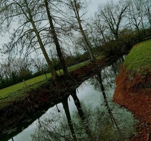 Balade sur chemins depuis Laigné-en-Belin - Laigné-en-Belin - 2