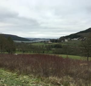 Randonnée sur la haute côte de Nuits-Saint-Georges - Nuits-Saint-Georges - 2