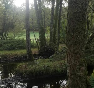Grand tour du Lac de Sagnat par le village de La Forge - Bessines-sur-Gartempe - 2