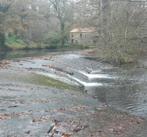 Balade le long de la Boulogne - Rocheservière - 2