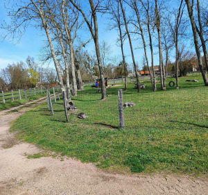 Promenade dans Chavroches - Nathalie - 4