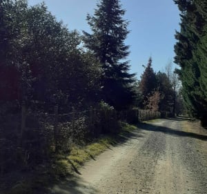 Tour de Presles à l'Hopital-le-Grand - Corinne - 4