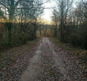 Boucle des 2 chapelles - Montcey - 2