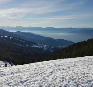 Le plateau de Pipay en raquettes - Theys - 2