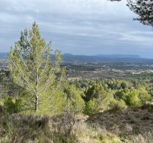 Le Puy vers La Quiho - Florent - 3