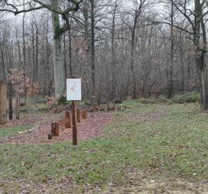 Balade en forêt notre dame en partant du poney club - Sucy-en-Brie - 2