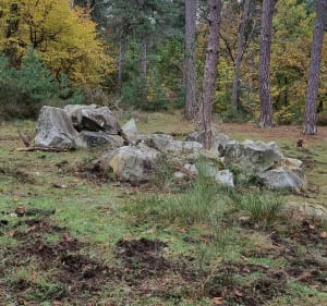 Le Mont St-Germain - Fontainebleau - 2