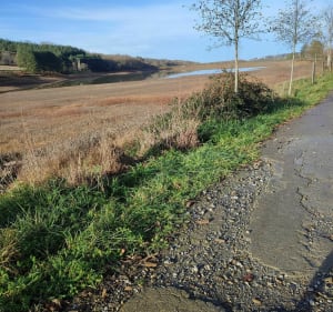 Tour de Montardon en passant par le lac - Montardon - 5