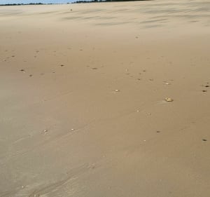La Belle Henriette. - La Tranche-sur-Mer - 2