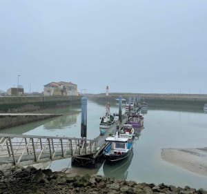 Merveilleuse balade à la Cotiniere d’Oleron - Saint-Pierre-d'Oléron - 3