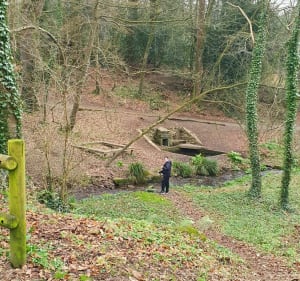 Kleine lus bij Bois de Keroual - Yann - 3