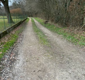 Promenade autour de Lamarche-sur-Saône par les étangs du Fourneau et du Milieu - Fabienne - 4