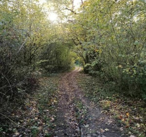 Sur les hauteurs de Thizay - Thizay - 2